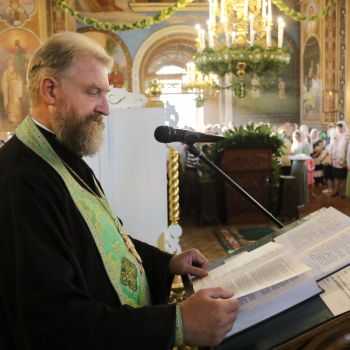 3V5A4954
