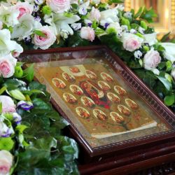 3V5A8174