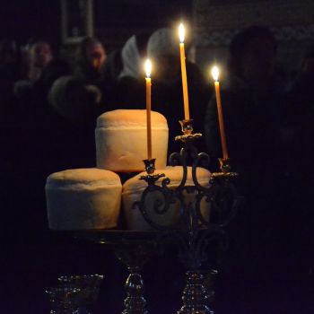 DSC 0008