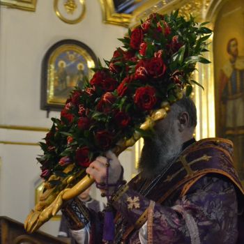 DSC 0507