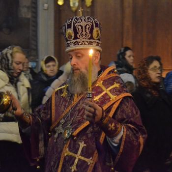 DSC 0550