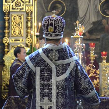 DSC 0702