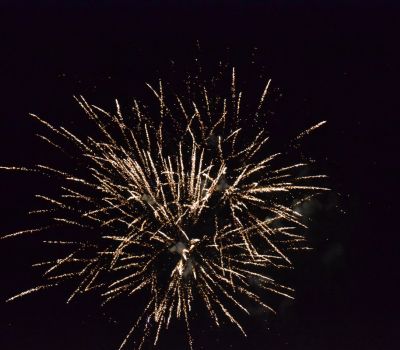 DSC 1131