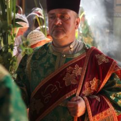 IMG 7461